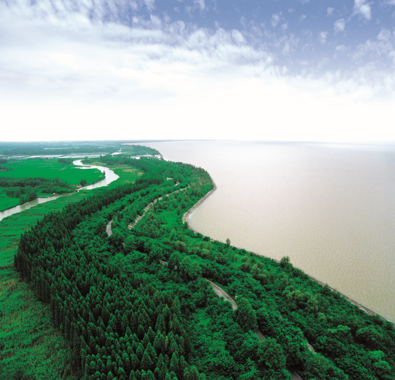 5、洪澤湖大堤.png